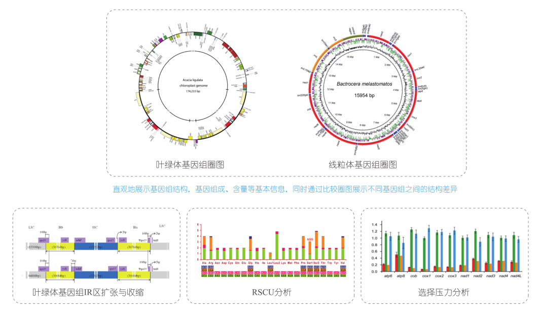 2017-09-26-19-01-58-majorbio