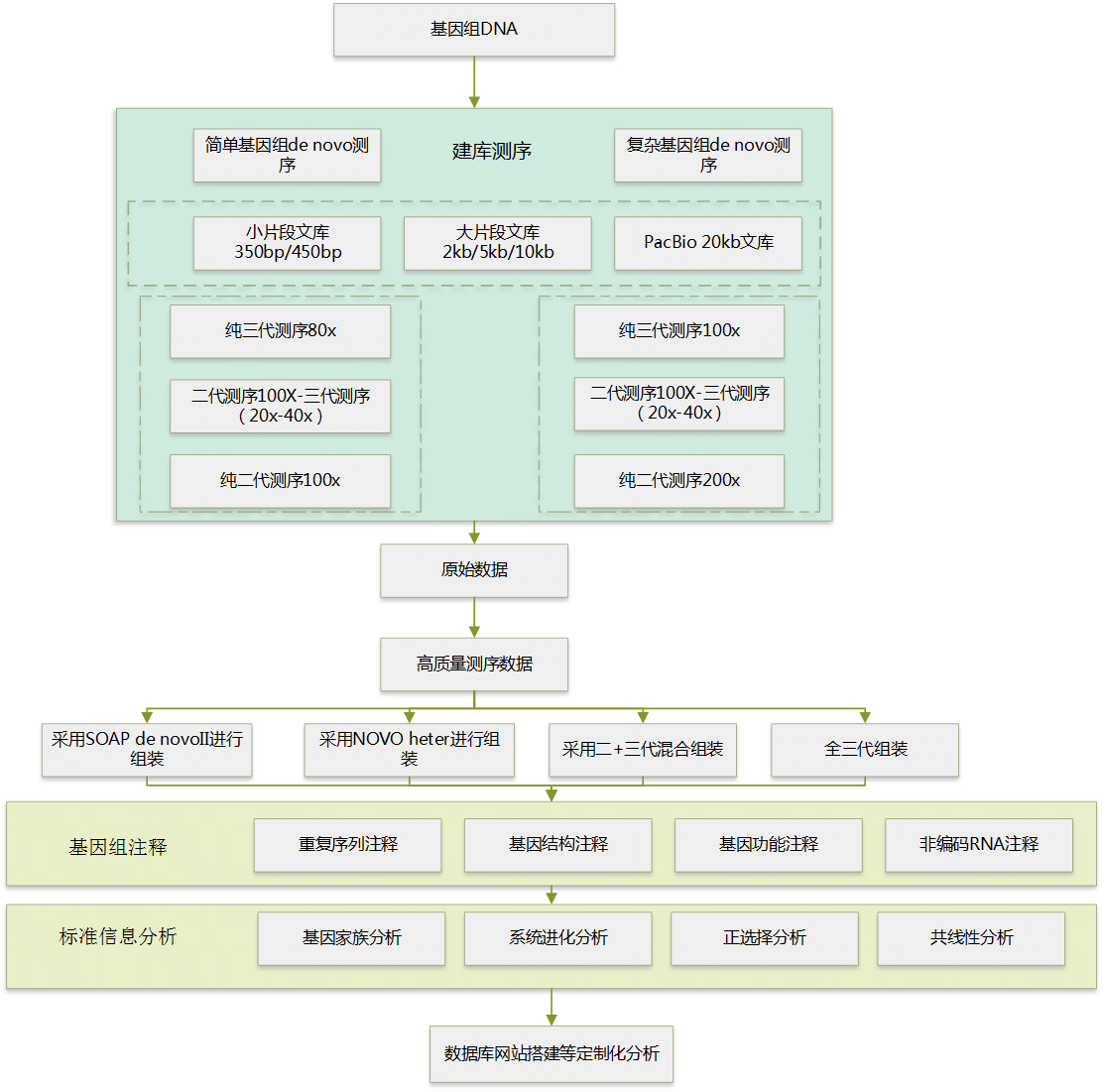 图片16